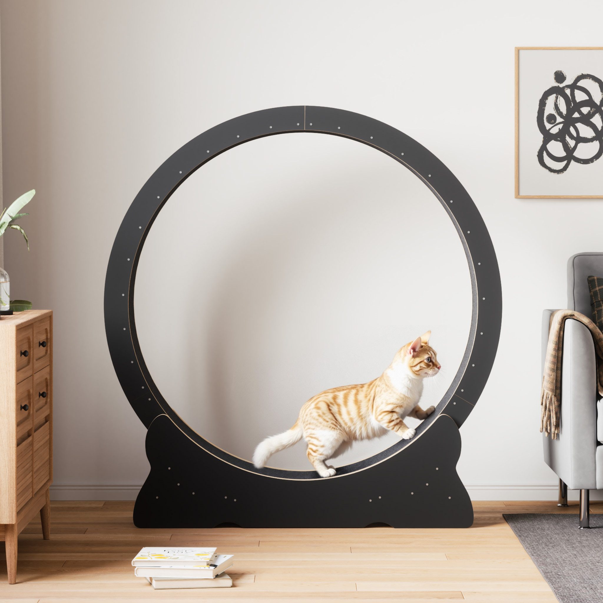 Mondeer Tier-Intelligenzspielzeug Katzenlaufrad, MDF, Tier-Intelligenzspiel günstig online kaufen