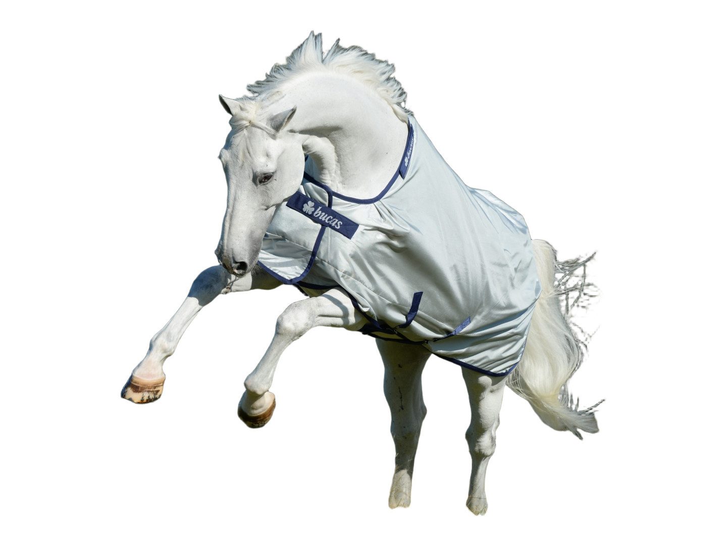 Bucas Ausreitdecke Outdoordecke Power Turnout Big Neck in silver