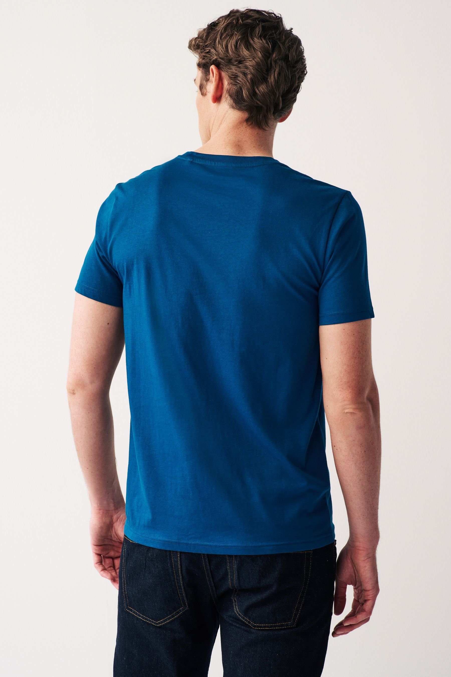 Blue Rundhalsausschnitt mit Teal T-Shirt (1-tlg) Next T-Shirt Essential
