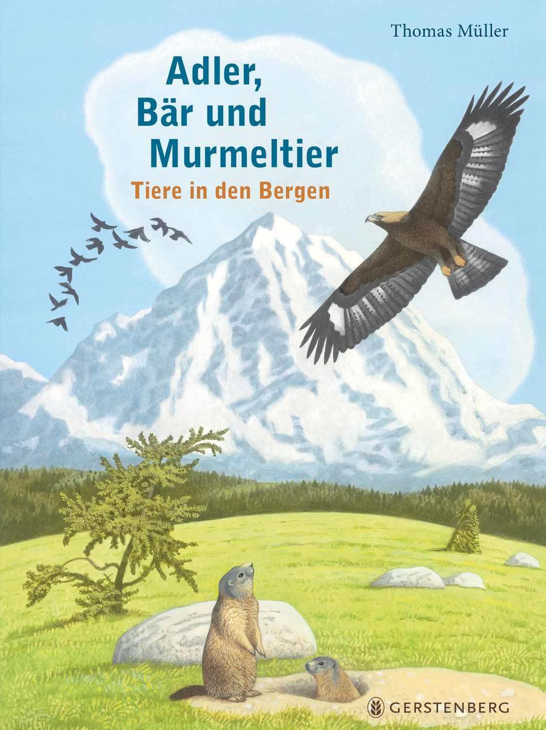 Adler, Bär und Murmeltier / Thomas Müller, Tiere in den Bergen