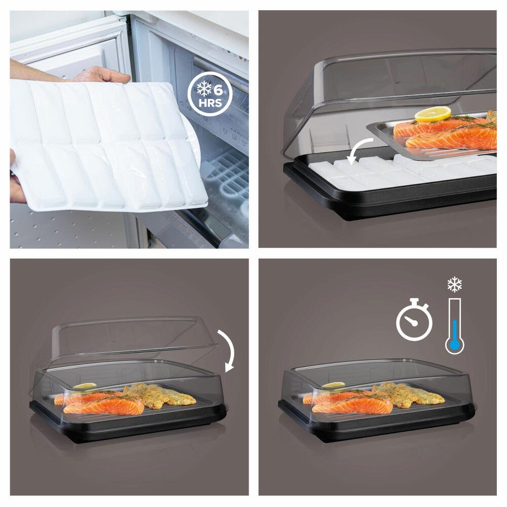 Kühlakku mit Aktivkühler, Kunststoff, mit Kühlplatte Servierplatte VACUVIN