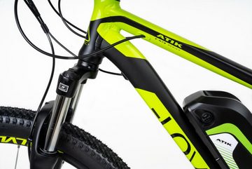 Lovelec E-Bike Atik Schwarz grün 17 Zoll Rahmen 29 Zoll Reifen, 8 Gang, Heckmotor, ergonom. Griffe, Aluminiumfelgen, hydraulische Scheibenbremse