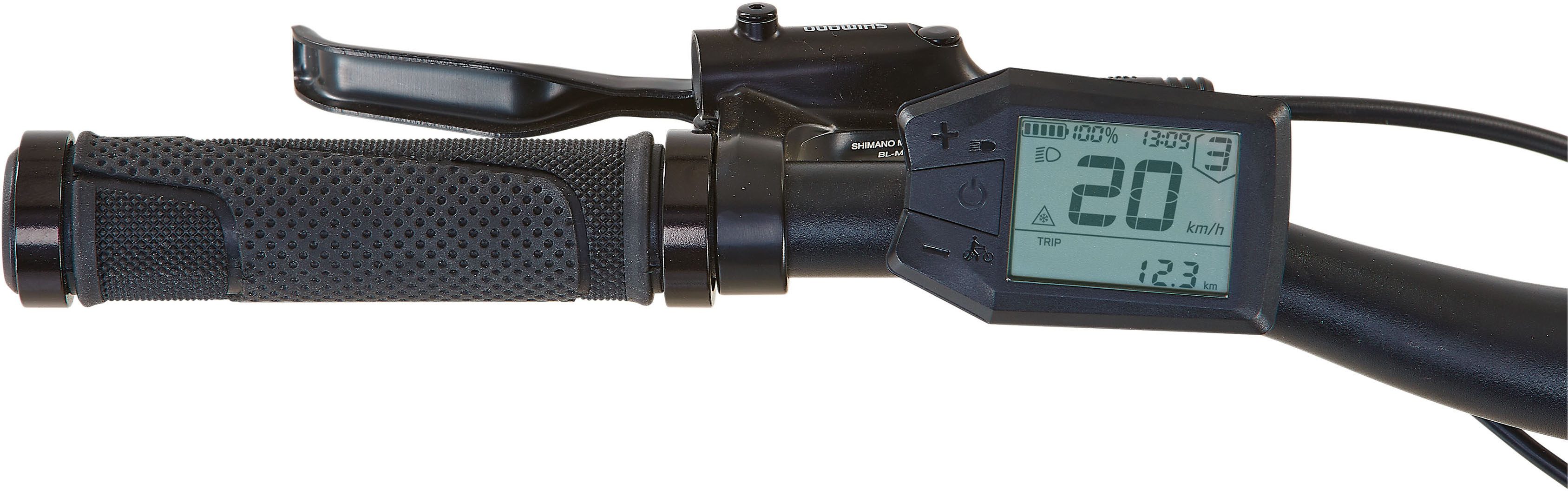 Prophete E-Bike ATB Stack 2.0, 9 Gang Shimano Alivio Schaltwerk, Kettenschaltung, Heckmotor, 480 Wh, Pedelec, Elektrofahrrad für Herren