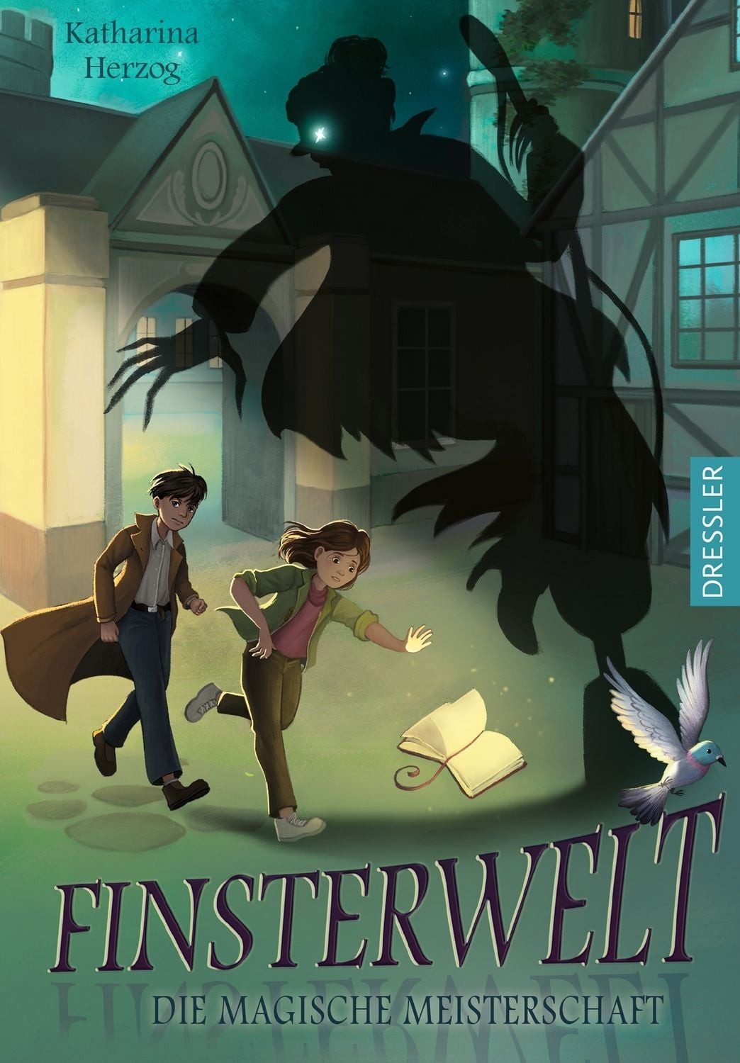 Finsterwelt 2. Die magische Meisterschaft / Katharina Herzog