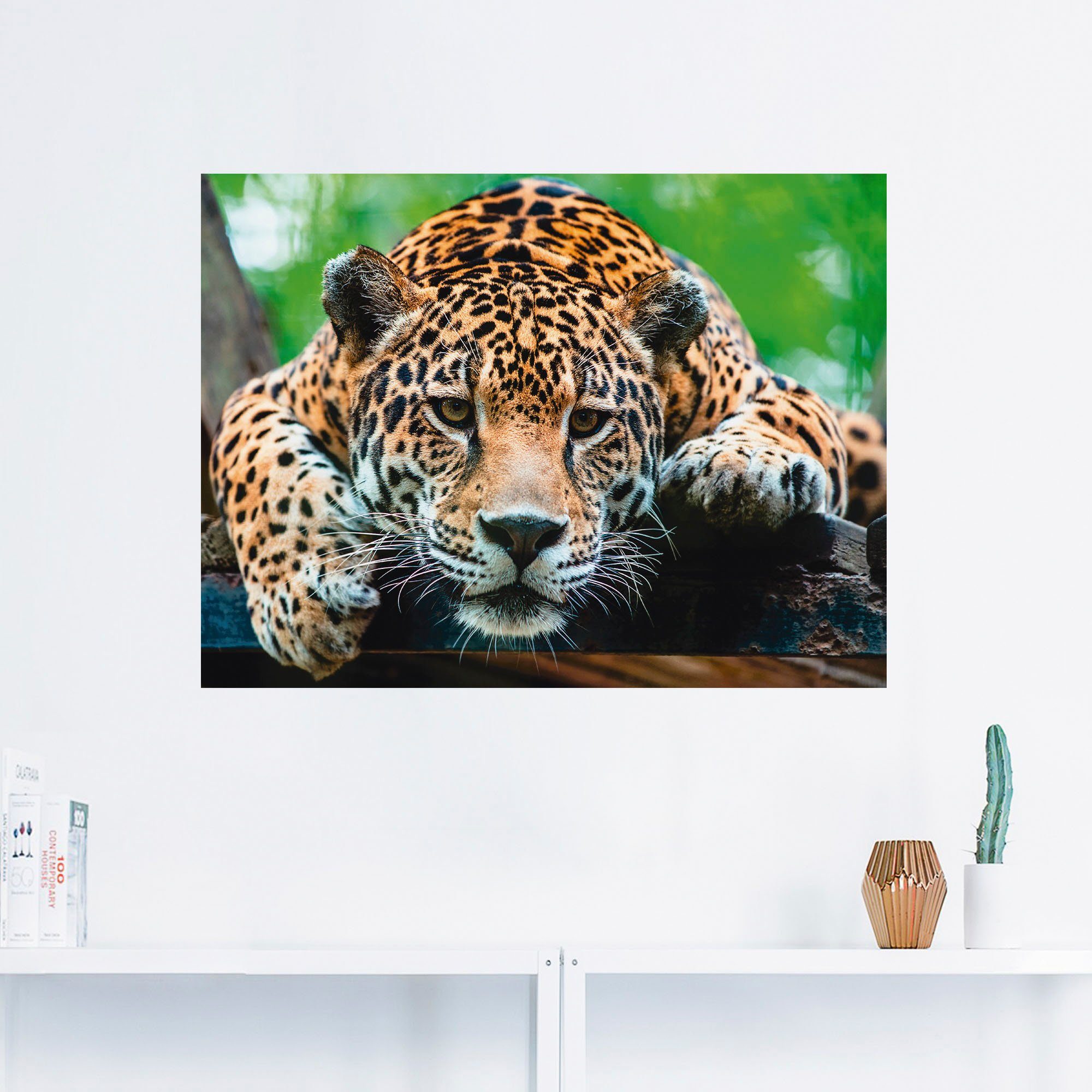 Artland Wandbild Südamerikanischer Jaguar, Poster oder Alubild, Wandaufkleber als (1 in Größen Leinwandbild, versch. St), Wildtiere