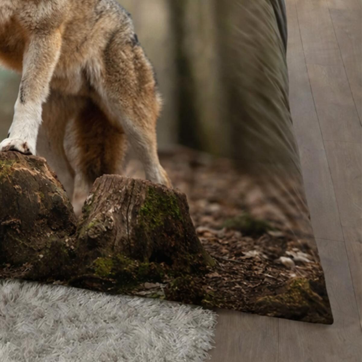 TRAUMSCHLAF Bettwäsche Wolf, Renforce, 2 teilig, tierisches Design in strapazierfähiger Qualität