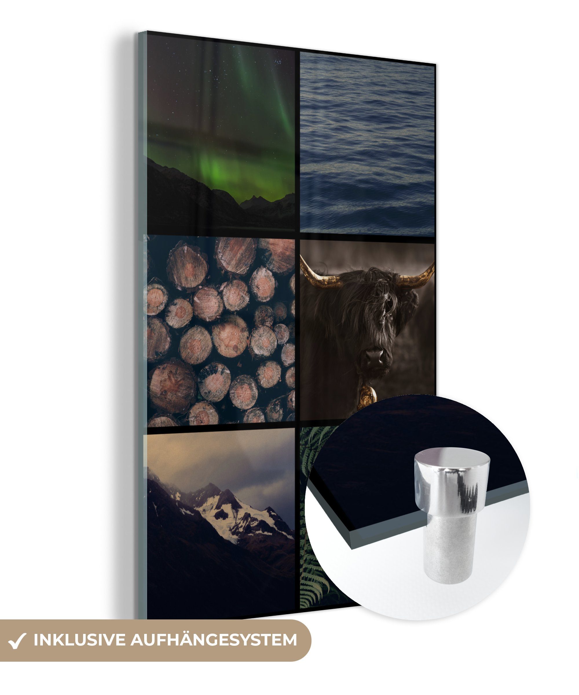 MuchoWow Acrylglasbild Schottische Highlander - Collage - Pflanzen - Holz, (1 St), Glasbilder - Bilder auf Glas Wandbild - Foto auf Glas - Wanddekoration