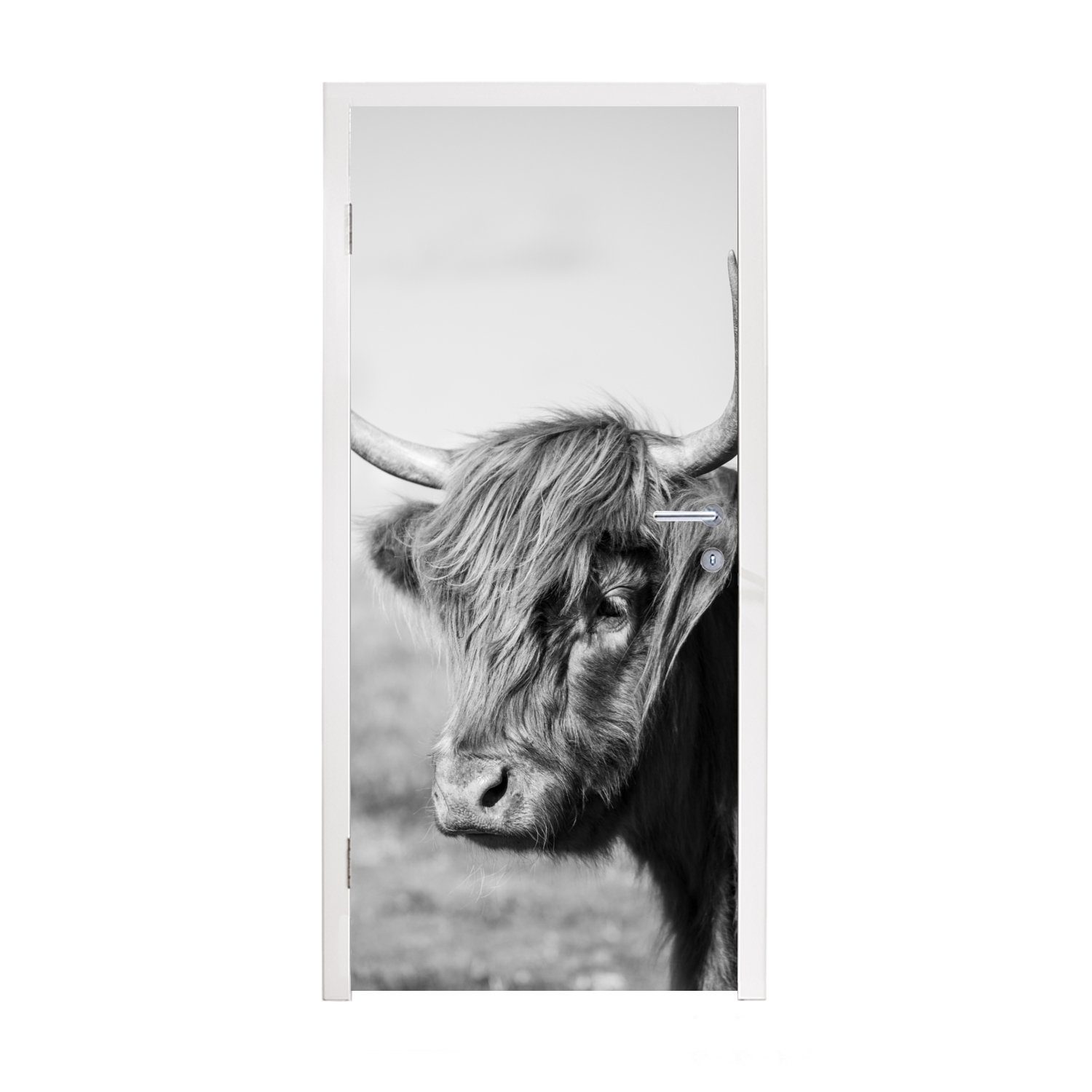 Schottischer Tiere Fototapete Matt, cm St), Tür, für - Türtapete Weiß, bedruckt, 75x205 Highlander - MuchoWow Türaufkleber, (1 - Schwarz