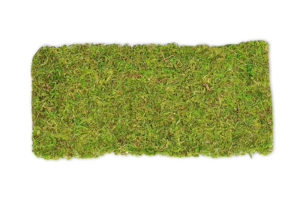 Bastelnaturmaterial Moosplatte ca. 38x18cm Moosmatte
