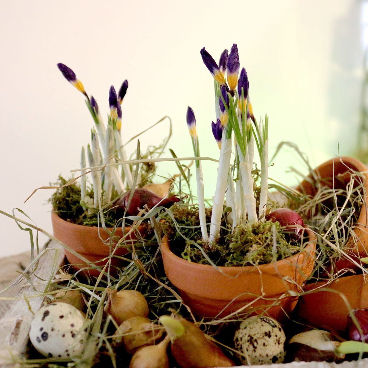 Viana Übertopf Blumentopf Ton Ø9cm hoch günstig online kaufen