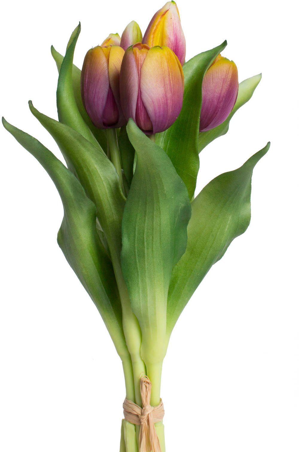 Kunstblume Willa Tulpe, Botanic-Haus, Höhe 32 cm, Tulpenbündel im 7er-Set mauve/gelb