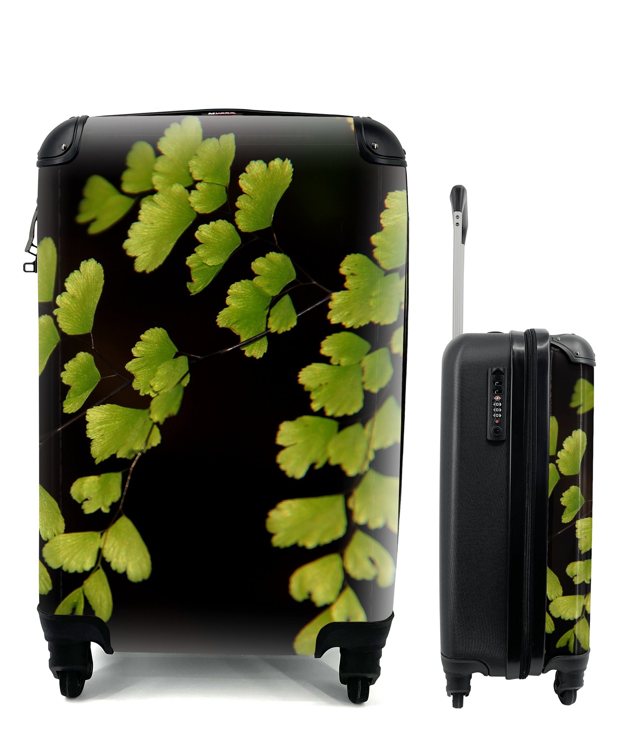MuchoWow Handgepäckkoffer Mehrere Venus Haar Blätter auf einem schwarzen Hintergrund, 4 Rollen, Reisetasche mit rollen, Handgepäck für Ferien, Trolley, Reisekoffer