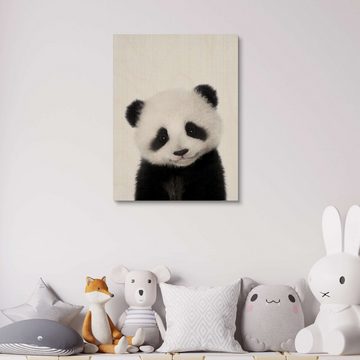 Posterlounge Holzbild Lola Peacock, Baby Panda, Kinderzimmer Fotografie