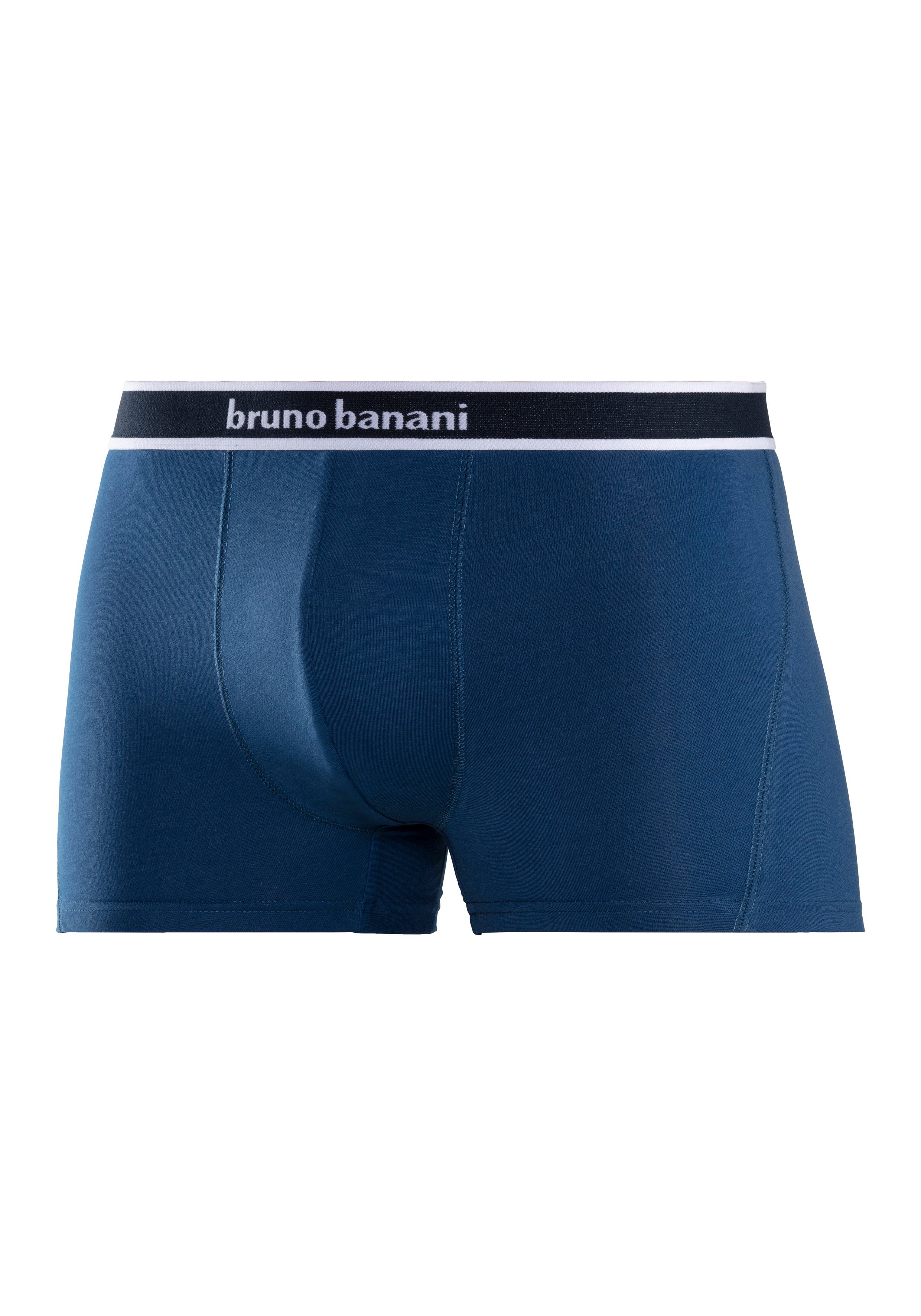 Bruno Banani Boxer Boxershorts für Herren (4er Pack) mit Steifen und Logo im Bund – Bild 5 von 5