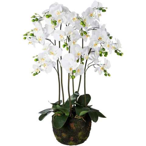 Kunstpflanze Orchidee, Creativ green, Höhe 95 cm