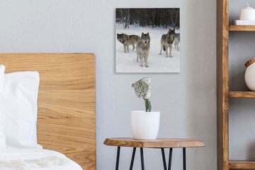 OneMillionCanvasses® Leinwandbild Wolf - Schnee - Kanada, (1 St), Leinwand Bilder für Wohnzimmer Schlafzimmer