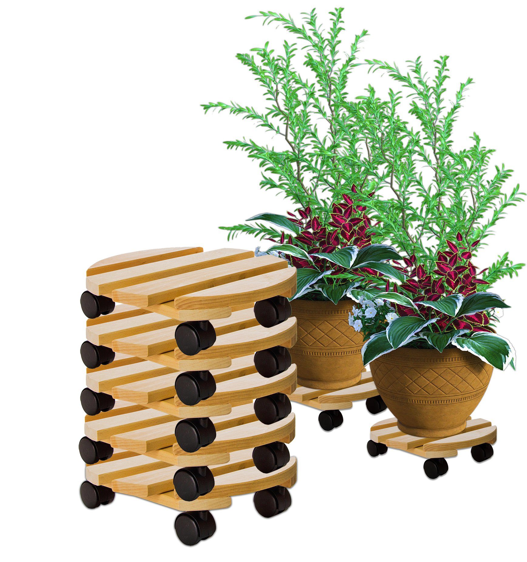 BigDean Blumentopfuntersetzer Pflanzenroller rund Buchenholz Holz günstig online kaufen