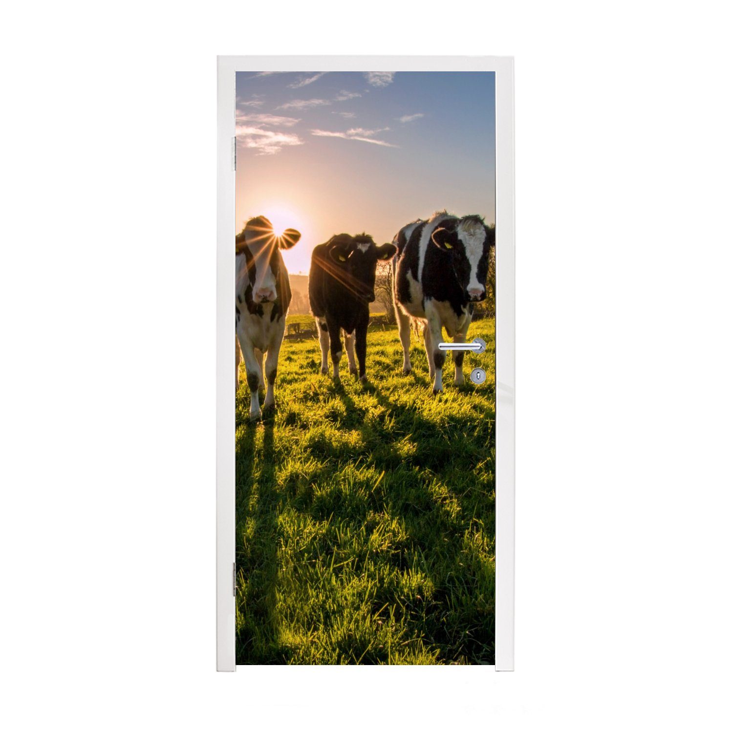 MuchoWow Türtapete Kuh für - Matt, bedruckt, 75x205 Sonne Tür, Fototapete - Türaufkleber, cm Gras, (1 St)