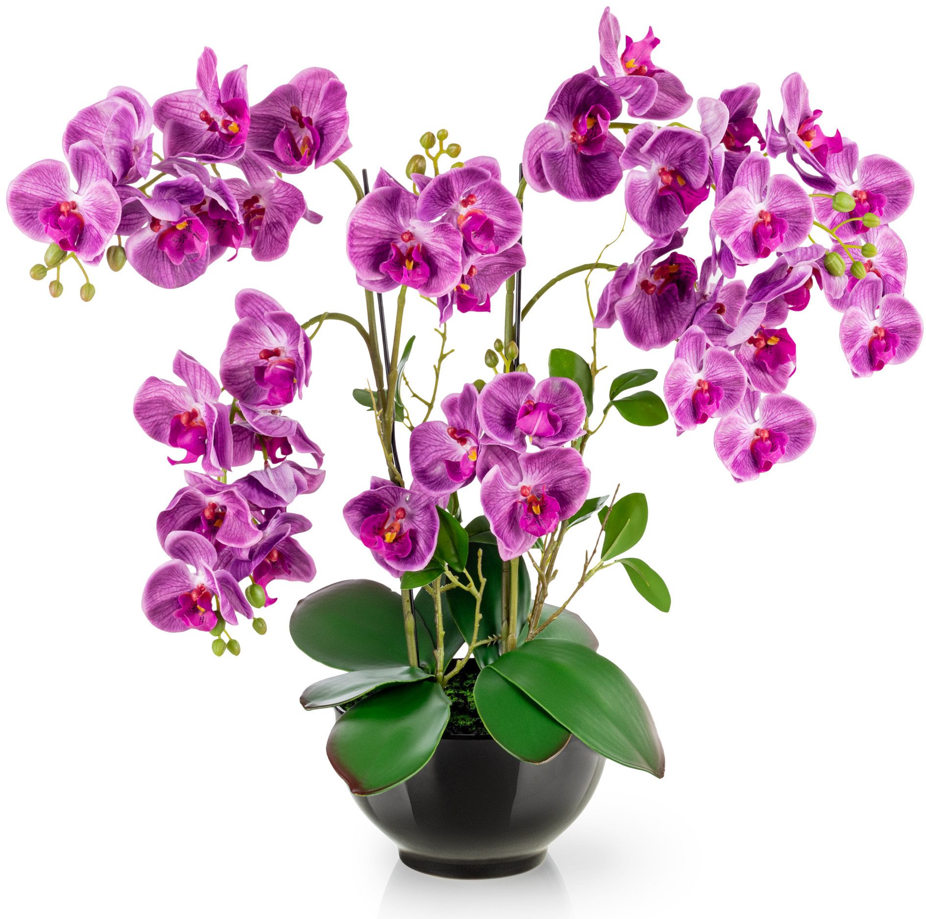Kunstorchidee PASCH® XXL Orchidee künstlich wie echt (56cm) in Hochglanz-Keramiktopf Orchidee, PASCH
