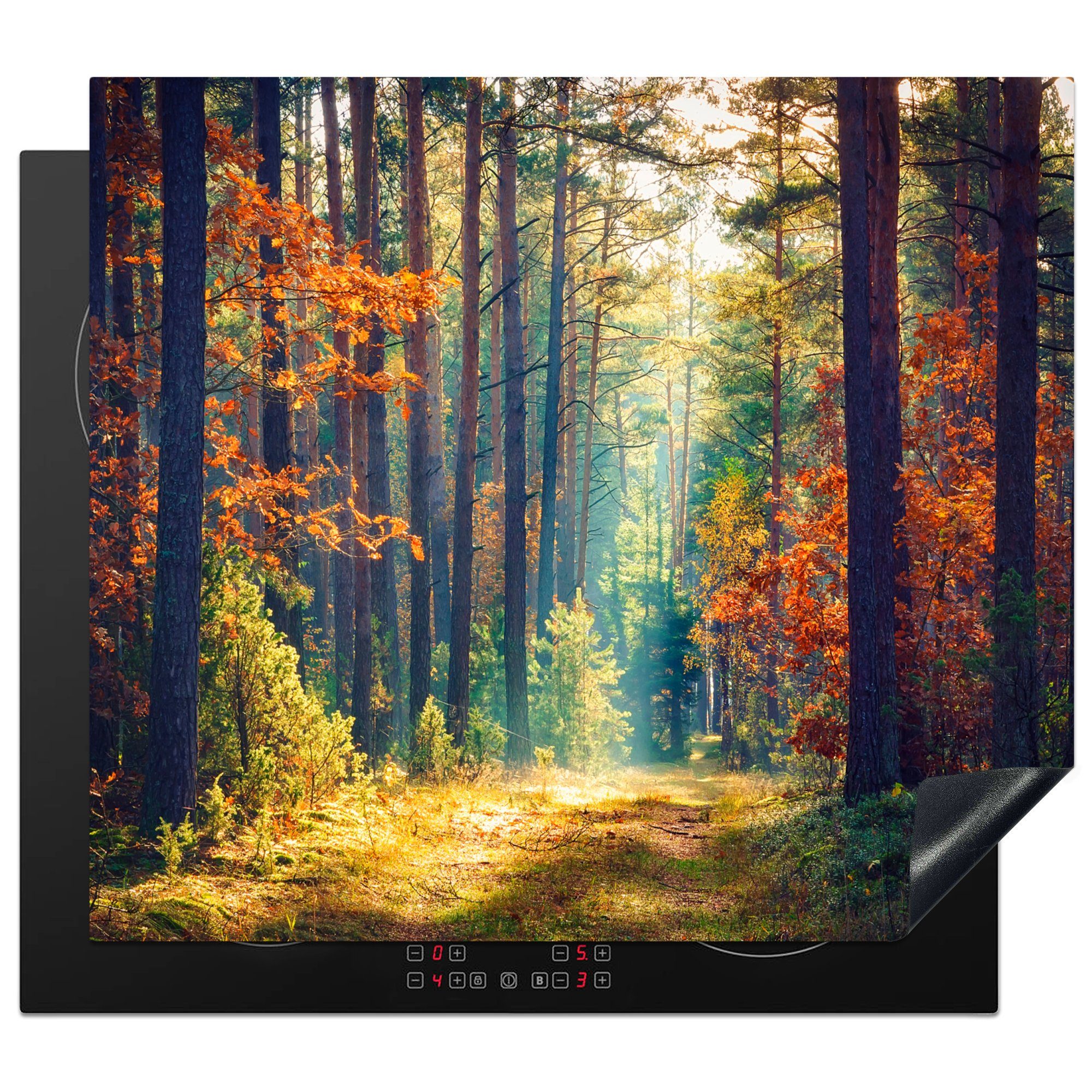 MuchoWow Herd-Abdeckplatte Wald - Sonne - Natur - Herbst, Vinyl, (1 tlg), Ceranfeldabdeckung Küche, Herdabdeckplatte Einteilig, 60x52 cm