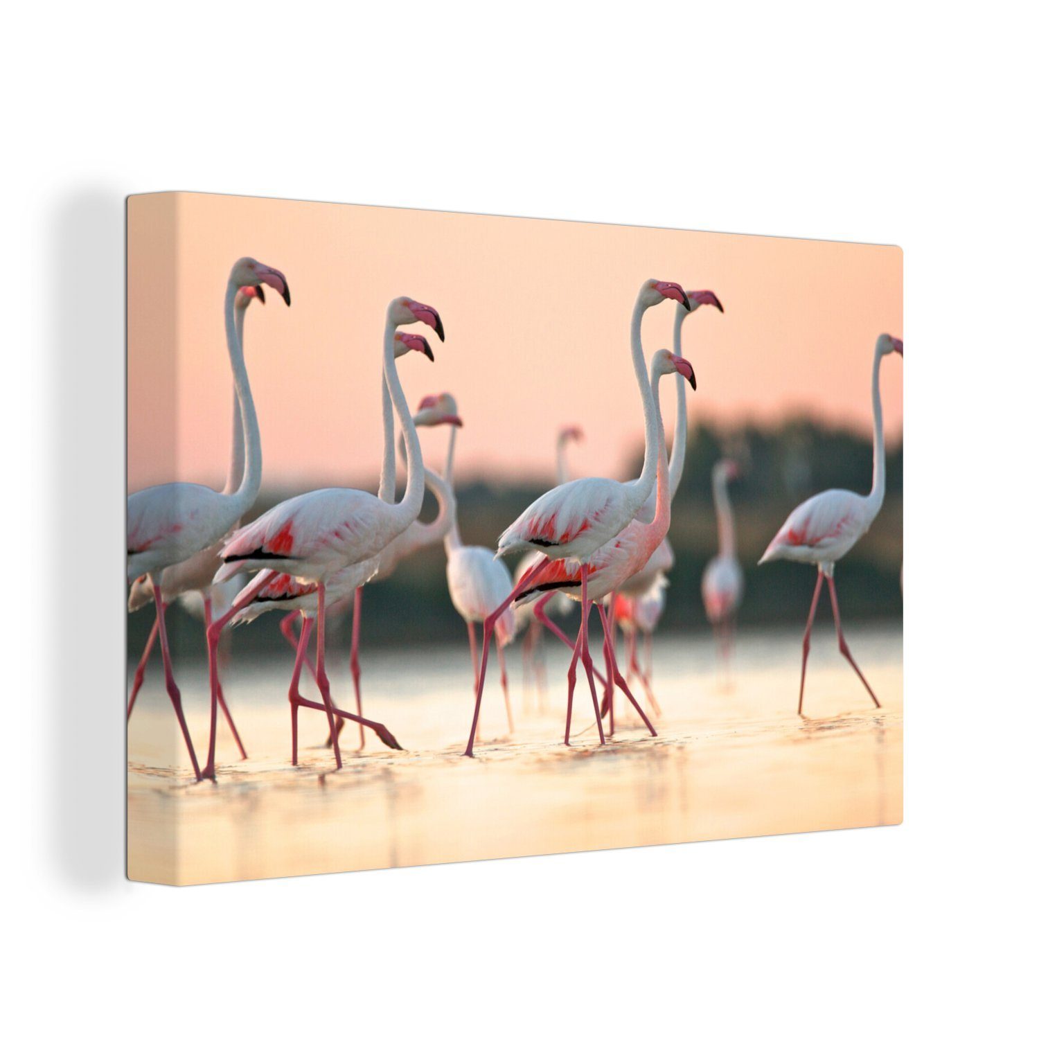 OneMillionCanvasses® Leinwandbild Flamingos bei Sonnenuntergang, (1 St), Wandbild Leinwandbilder, Aufhängefertig, Wanddeko, 30x20 cm