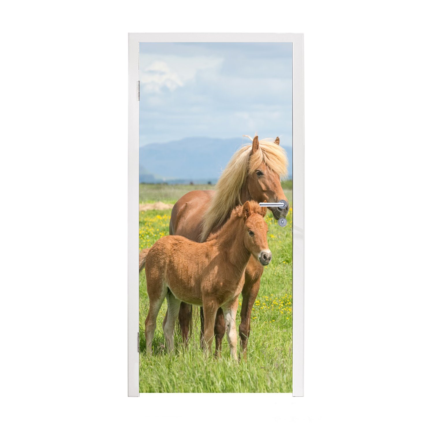 MuchoWow Türtapete Pferde - Fohlen - Gebirge, Matt, bedruckt, (1 St), Fototapete für Tür, Türaufkleber, 75x205 cm