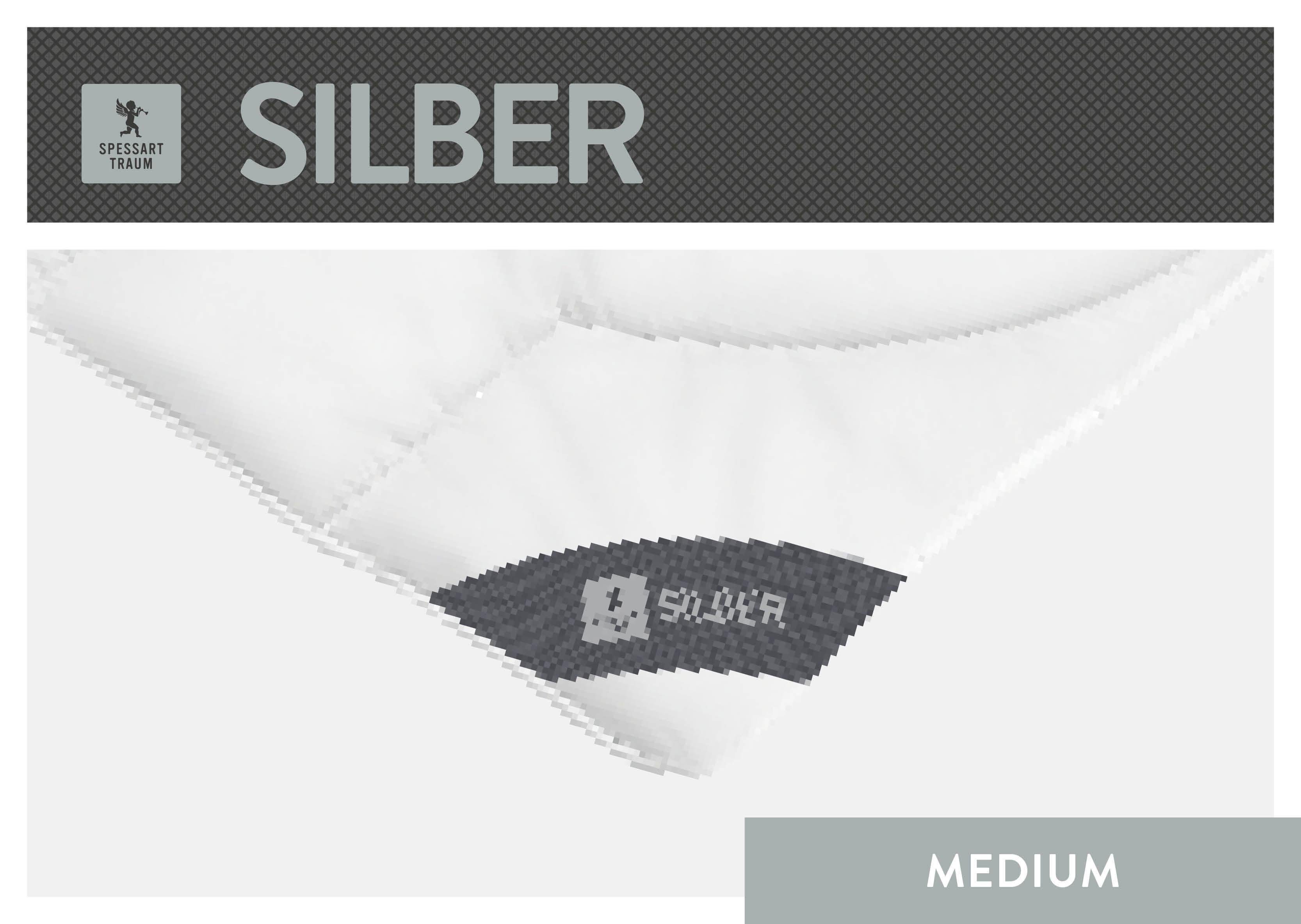 SPESSARTTRAUM Baumwollbettdecke Silber, hergestellt in Deutschland, allergikerfreundlich