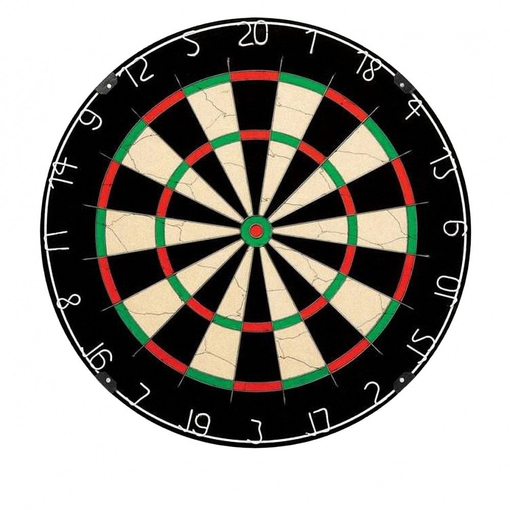 Dartscheibe NPQ Steeldartboard