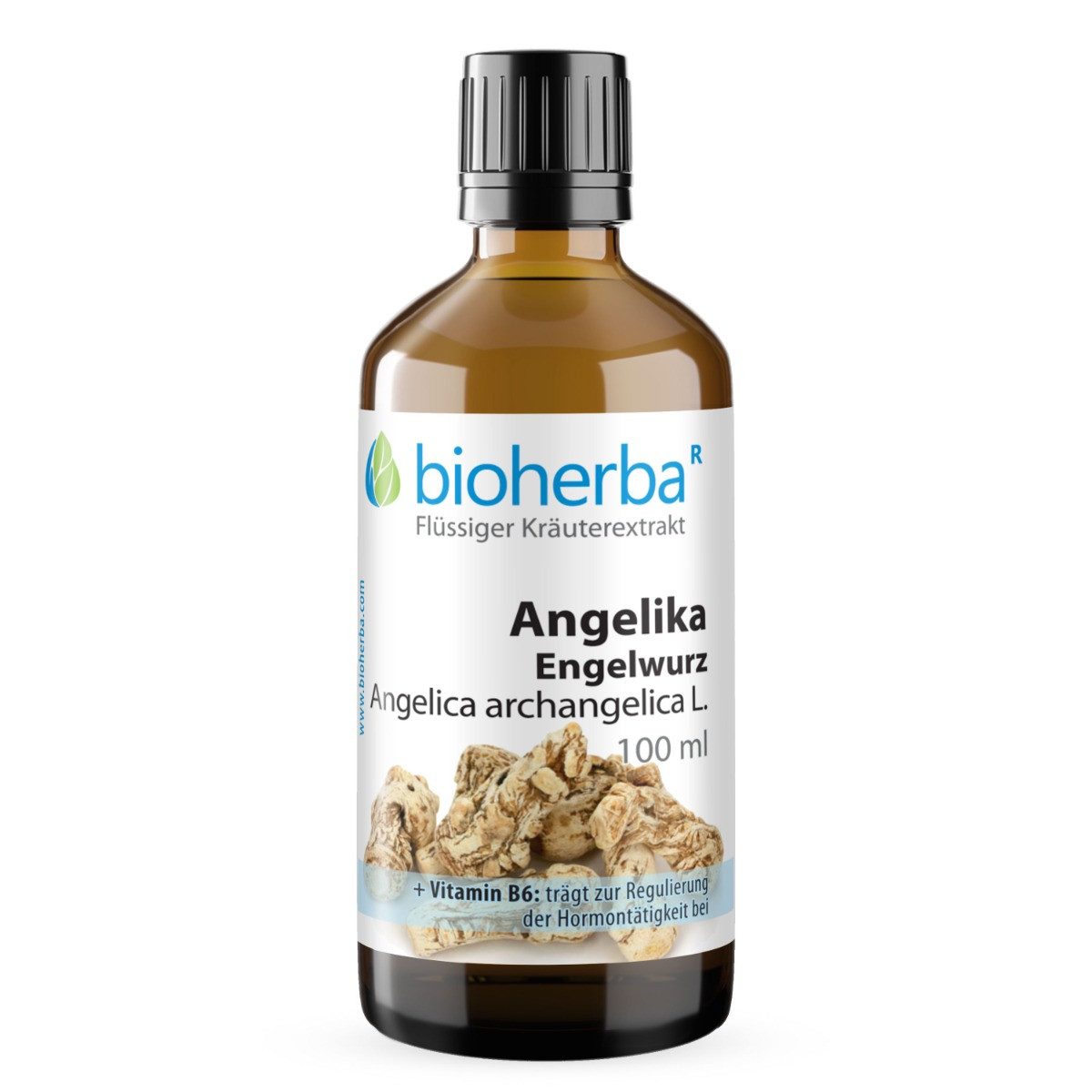 BIOHERBA R Bioherba Angelika Engelwurz Tropfen Tinktur 100ml Tropfen, 1 er