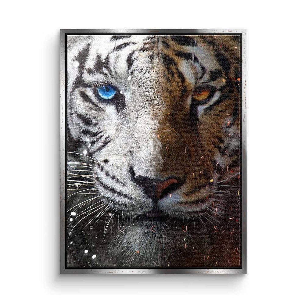 Focus mit schwarzer Face Leinwandbild Tiger Rahmen DOTCOMCANVAS® Rahmen Leinwandbild, premium