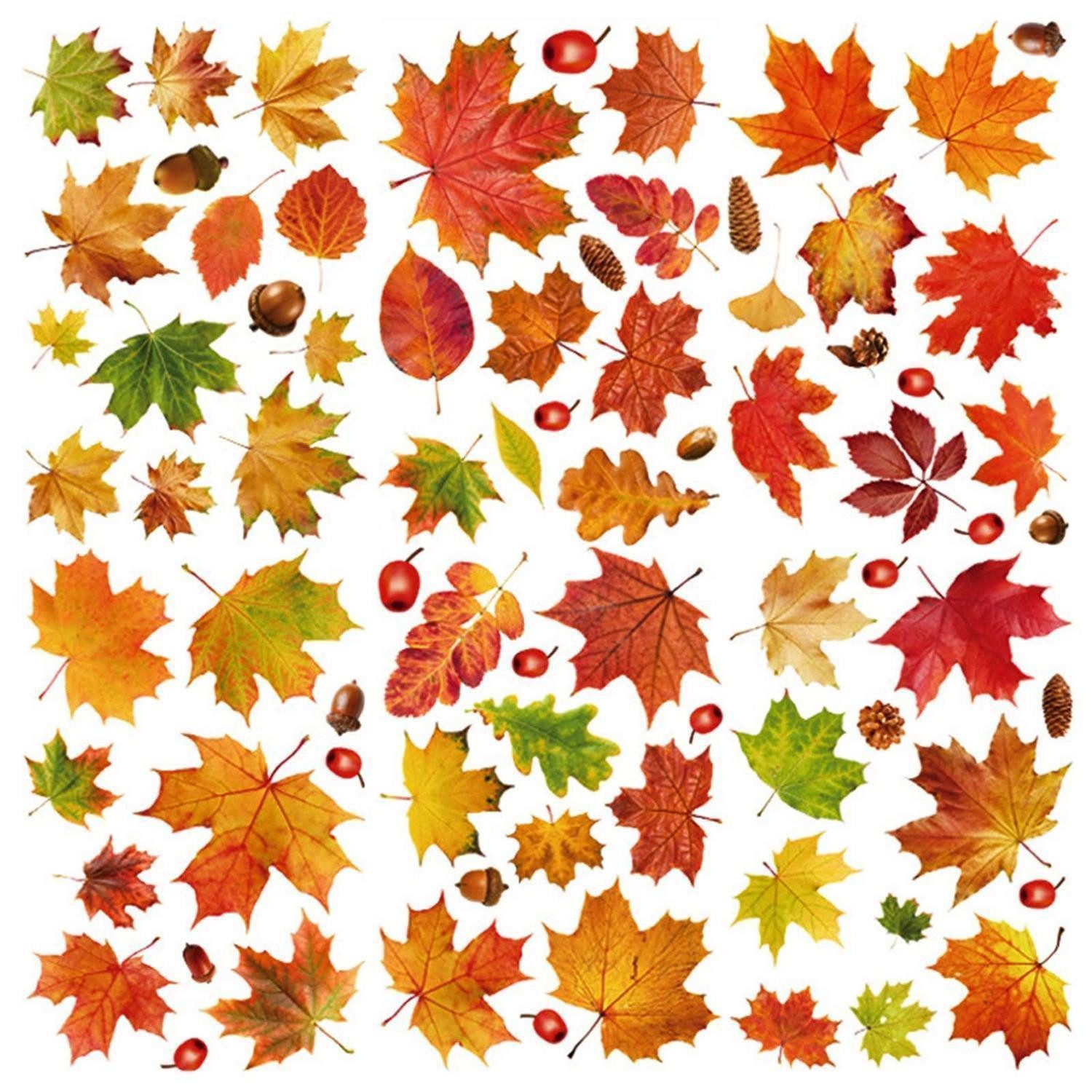 LuxusKollektion Fensterbild Fensteraufkleber Herbstlaub 6 Blätter