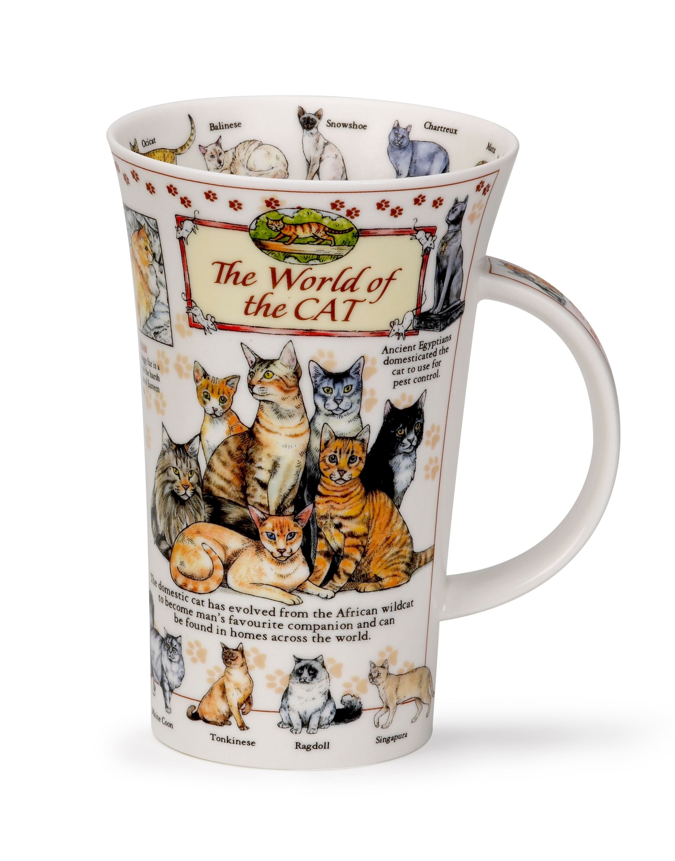 Dunoon Becher, Fine Bone China, Dunoon Becher Teetasse Kaffeetasse Glencoe  World of the Cat online kaufen | OTTO