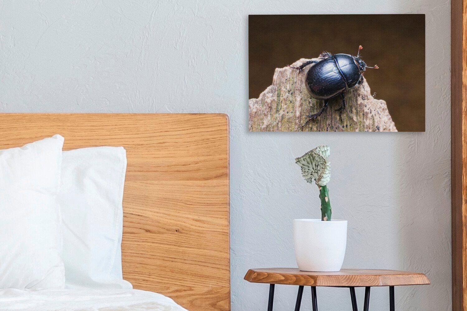 OneMillionCanvasses® Leinwandbild Wanddeko, Aufhängefertig, auf einem cm Stück (1 Käfer Holz, Wandbild St), 30x20 Leinwandbilder