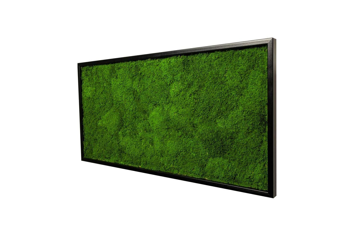 Moos-Design Bild Moosbild Flat Design mit 100% Flachmoos günstig online kaufen