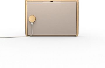 Bang & Olufsen Beosound Level Gold Tone - Light Oak ohne Google Bluetooth-Lautsprecher