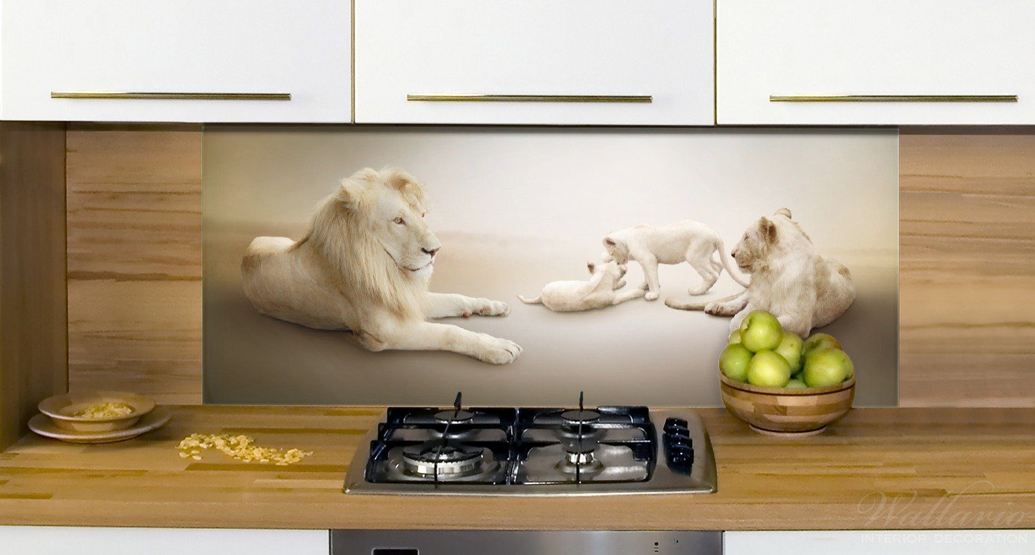 Wallario Küchenrückwand Jungtieren, mit (1-tlg) Löwenfamilie