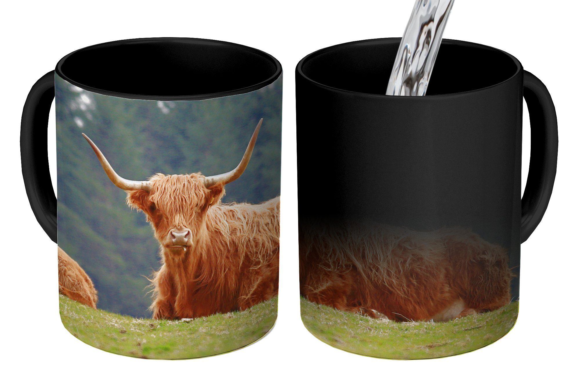 - Keramik, Tasse MuchoWow Highlander Wald, Gras Schottische Kaffeetassen, - Geschenk Farbwechsel, Teetasse, Zaubertasse,