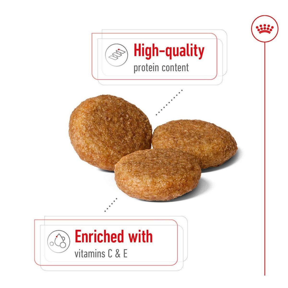 Royal Canin Medium Adult 4 kg, Trockenfutter für: Hund – Bild 2 von 4