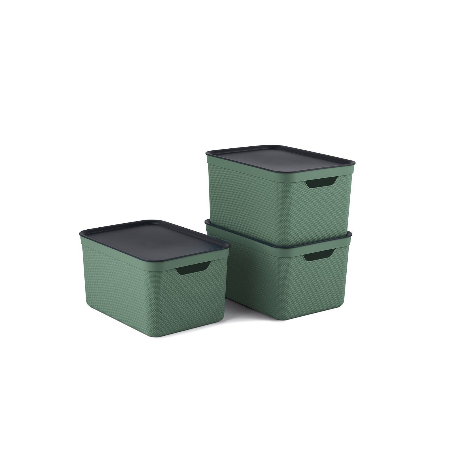 ROTHO Aufbewahrungsbox 3er- Set Aufbewahrungskorb 16l günstig online kaufen