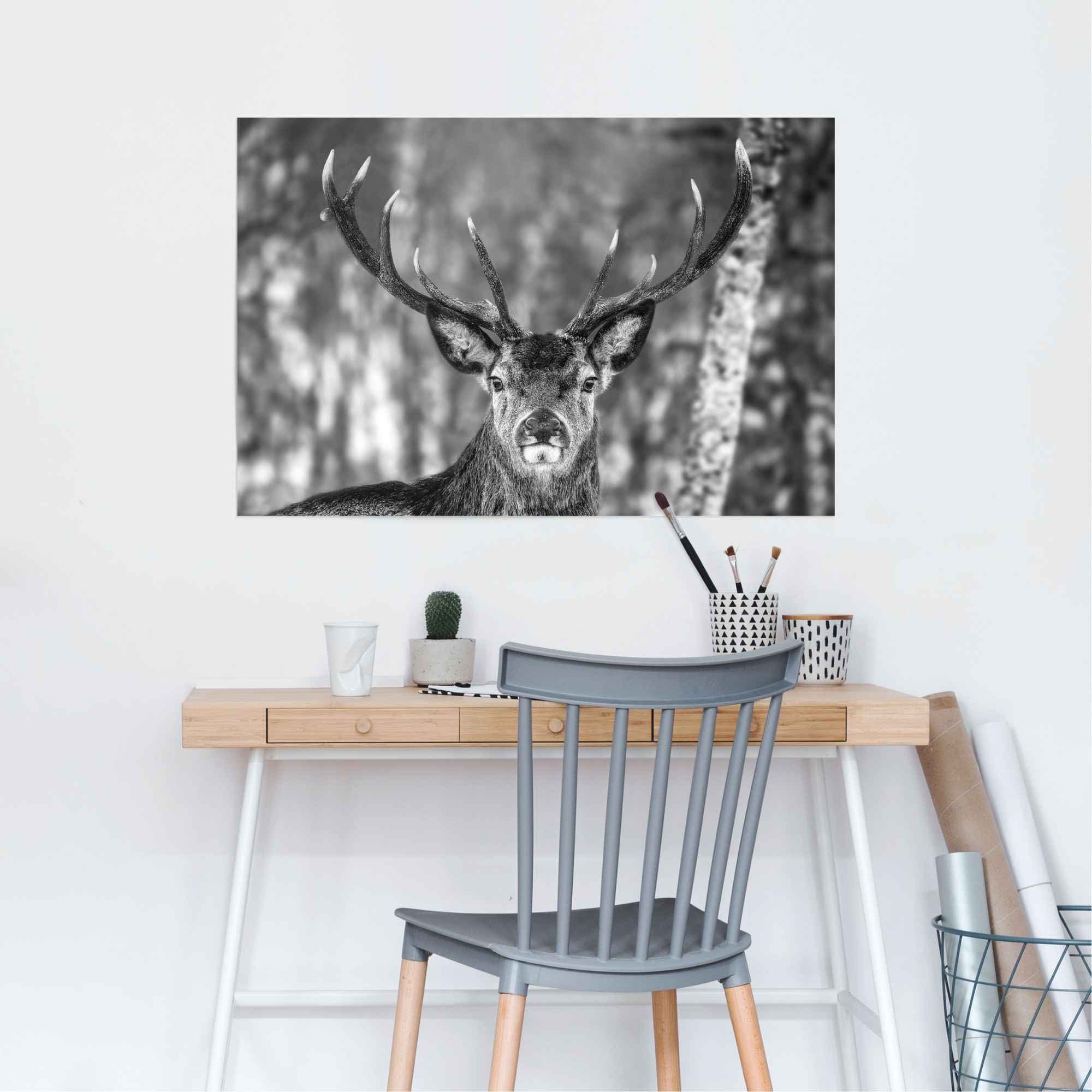 Reinders! Poster »Hirsch im Winter«, (1 Stück)-HomeTrends