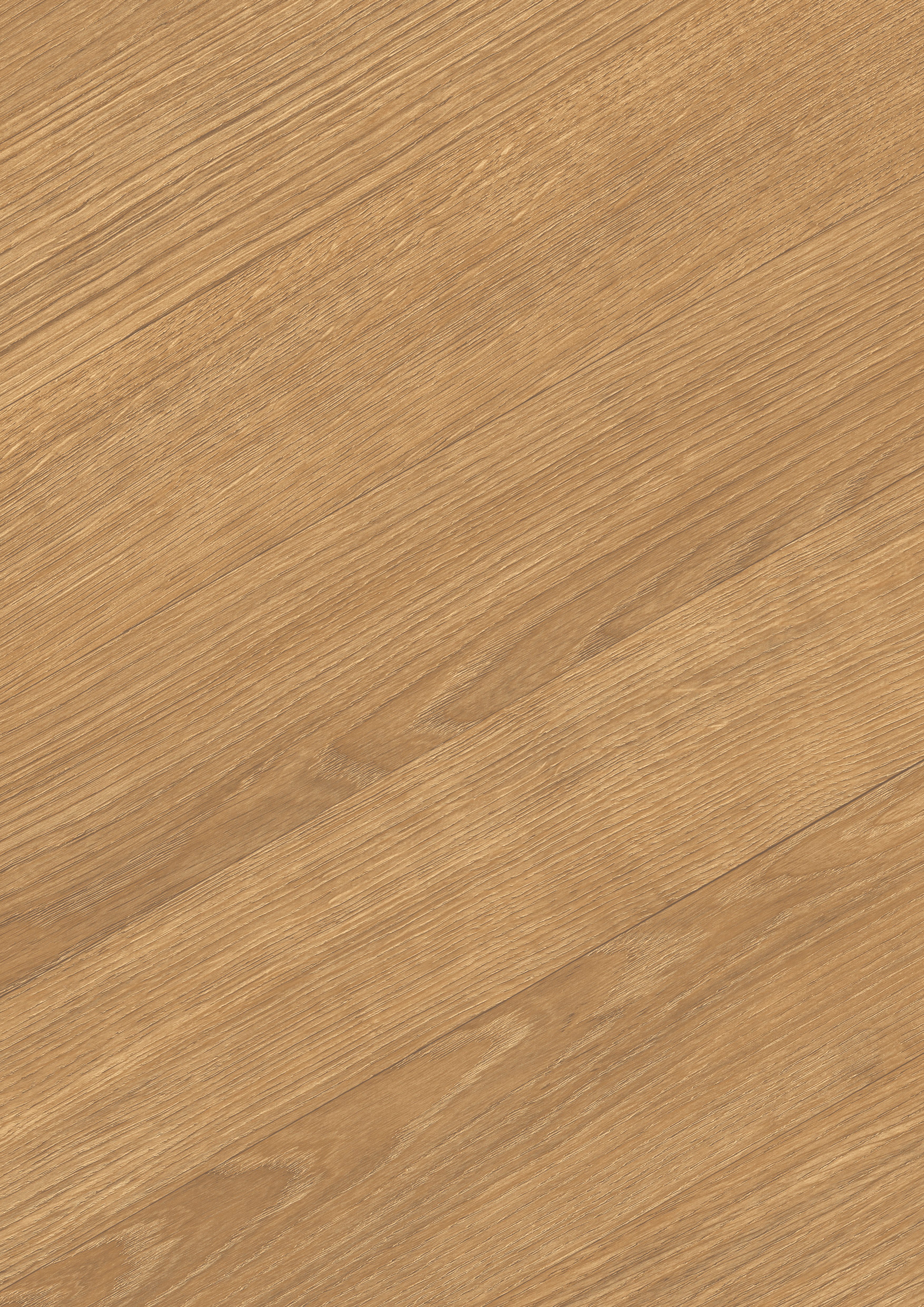 EGGER Laminat NatureSense EL291F Skanderborg Eiche honig, (8mm, 2,535qm), Praktisch & Pflegeleicht