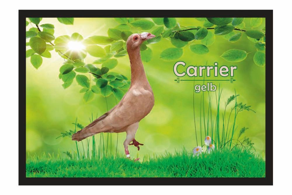 Ladreas Fußmatte Schmutzfangmatte Tauben Carrier gelb F2429, 60x40