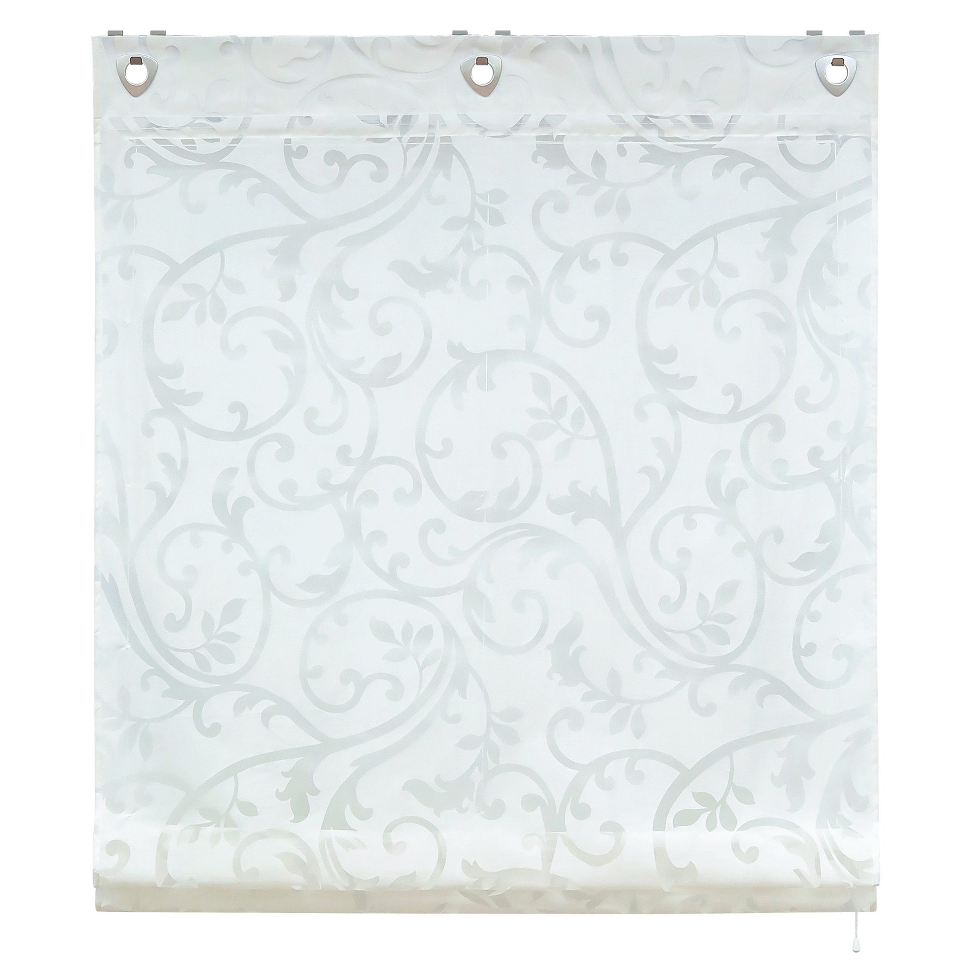 Delien Raffrollo Jessica, mit Hakenaufhängung, Voile Ösenrollo Ausbrenner günstig online kaufen