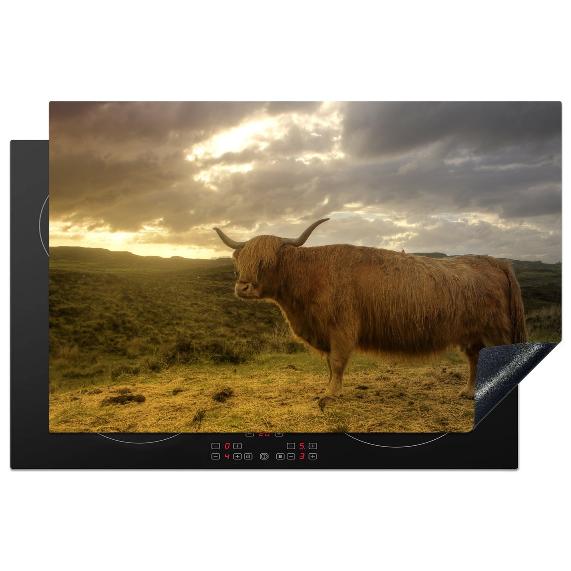 MuchoWow Herdblende-/Abdeckplatte Schottische Highlander - Landschaft, Vinyl, (1 tlg), 81x52 cm, Induktionskochfeld Schutz für die küche, Ceranfeldabdeckung