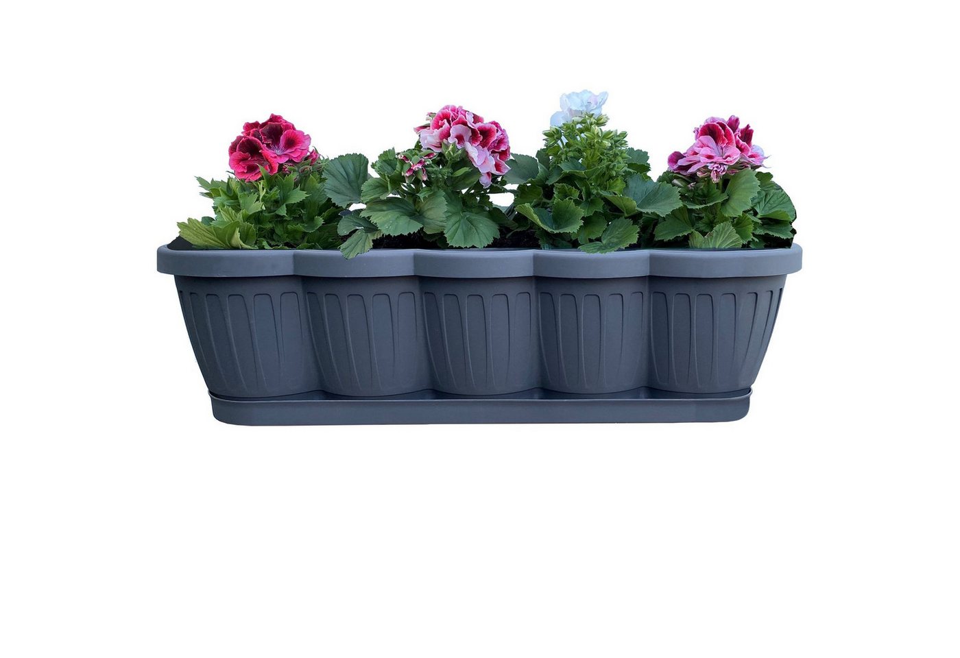 Thumbnail - BURI Blumenkasten 3er Set 60cm Blumenkasten Pflanzkasten Anthrazit mit Bewässerung