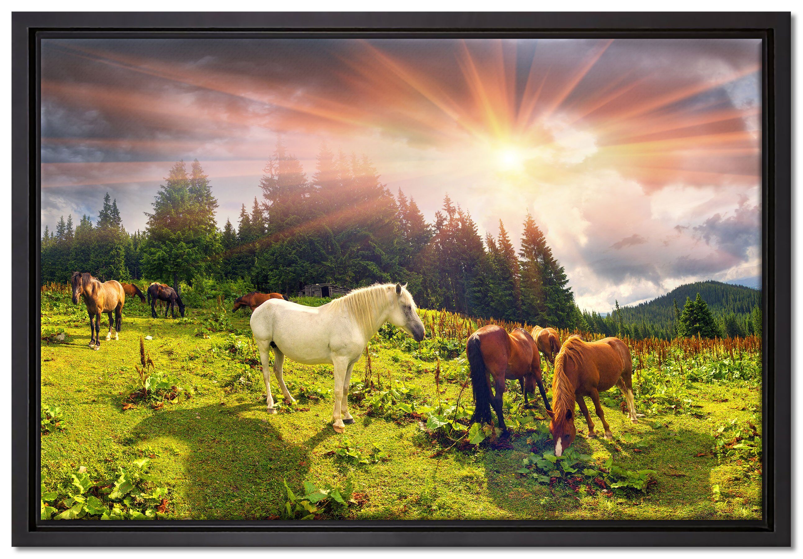 inkl. Wanddekoration Zackenaufhänger in St), Leinwandbild Pferde den Mustangs gefasst, Leinwandbild einem (1 Bergen, bespannt, Schattenfugen-Bilderrahmen Pixxprint fertig auf
