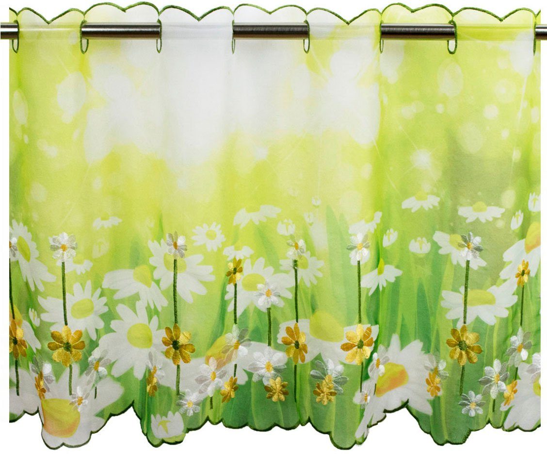 Delindo Lifestyle Scheibengardine Margeriten (1 St), Stangendurchzug, transparent, Voile, zwei Größen – Bild 2 von 5