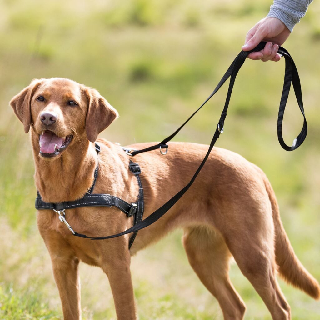 TRIXIE Hunde-Erziehungsgeschirr Trainingsgeschirr Lead'n'Walk Soft - schwarz - 45–70 cm/25 mm, Nylon