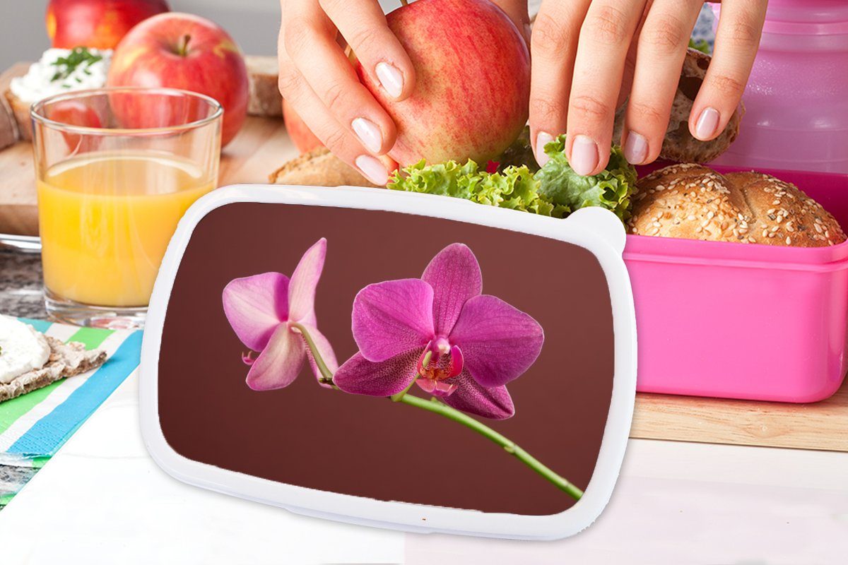 MuchoWow Lunchbox Blumen - Orchideen Brotdose Rosa, Snackbox, (2-tlg), Kunststoff Mädchen, Kunststoff, - Brotbox Kinder, für Erwachsene