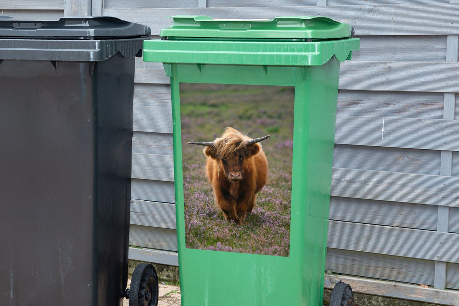 MuchoWow Mülltonne, (1 Wandsticker Sticker, Mülleimer-aufkleber, Abfalbehälter Container, Heidelandschaft Schottische St), Tiere - - Hochlandbewohner